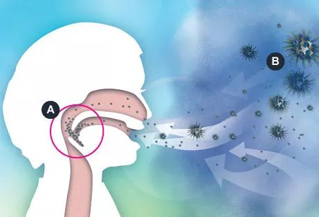 加湿器-肺炎-哮喘-慢阻肺-咳嗽-咳喘-支气管炎-肺功能检测仪-呼吸训练器