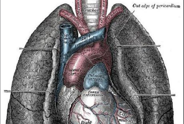 尘肺-哮喘-慢阻肺-咳嗽-咳喘-支气管炎-肺功能检测仪-呼吸训练器
