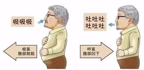 呼吸训练-呼吸康复-心肺康复-心源性肺病-慢性阻塞性肺病-COPD-间质性肺病-支气管扩张-支气管哮喘-脑卒中-心肺疾病-亚健康-围手术期-肺减容手术-肺移植-主动呼吸训练-被动呼吸训练-抗阻式呼吸-膈肌-肋间肌-腹壁肌-胸锁乳突肌-背部肌群-胸部肌群